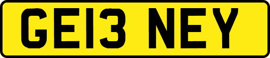 GE13NEY