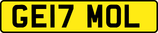 GE17MOL