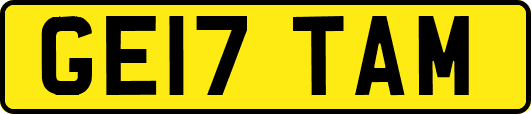 GE17TAM