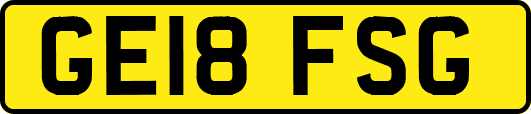 GE18FSG