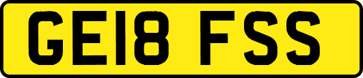 GE18FSS