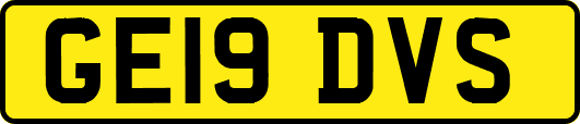 GE19DVS