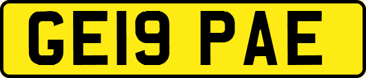 GE19PAE