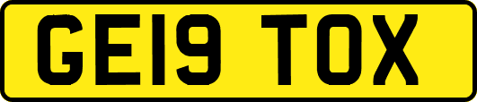 GE19TOX