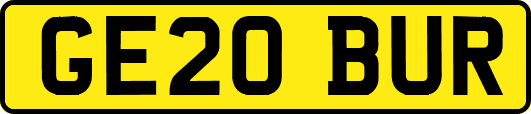 GE20BUR