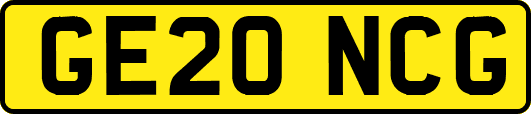GE20NCG