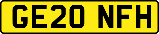 GE20NFH