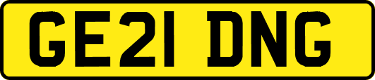GE21DNG