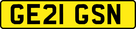 GE21GSN