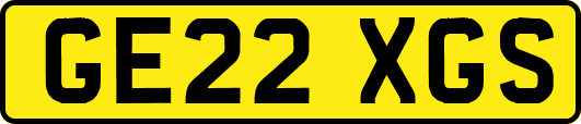 GE22XGS