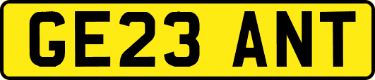 GE23ANT