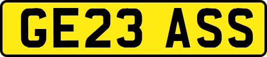 GE23ASS