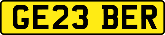 GE23BER