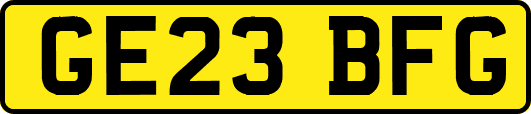 GE23BFG