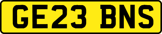 GE23BNS