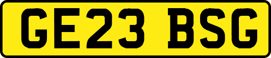 GE23BSG