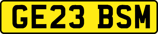 GE23BSM