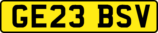 GE23BSV
