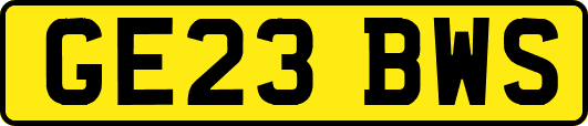 GE23BWS