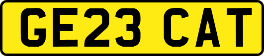GE23CAT