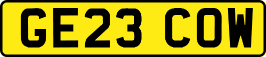 GE23COW
