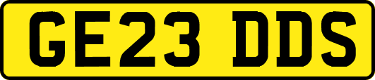 GE23DDS