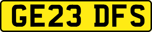 GE23DFS