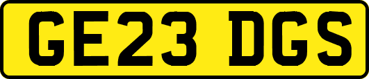 GE23DGS