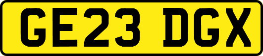 GE23DGX