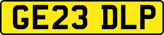 GE23DLP