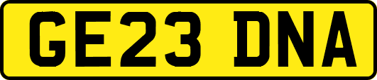 GE23DNA
