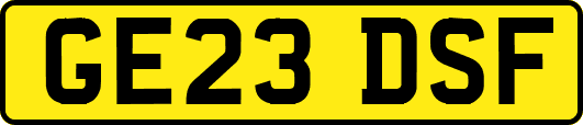 GE23DSF