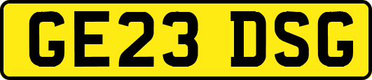 GE23DSG