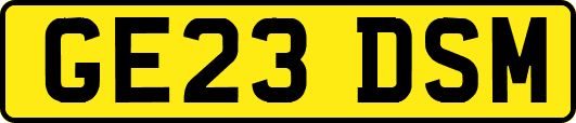 GE23DSM