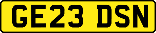 GE23DSN