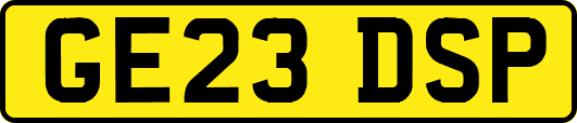 GE23DSP
