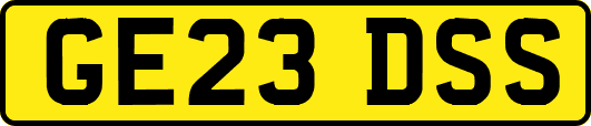GE23DSS