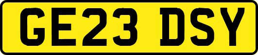 GE23DSY