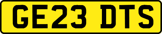 GE23DTS