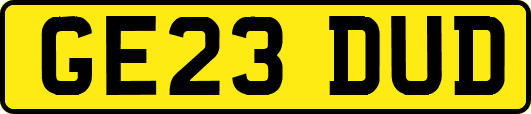 GE23DUD