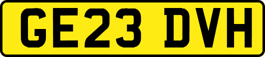 GE23DVH