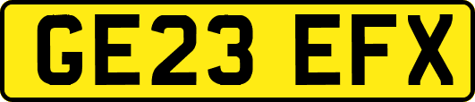 GE23EFX