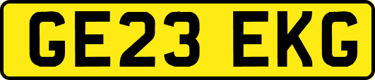 GE23EKG