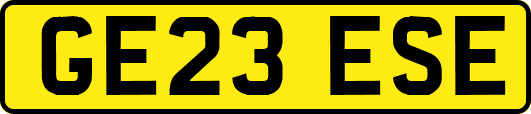 GE23ESE