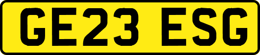 GE23ESG