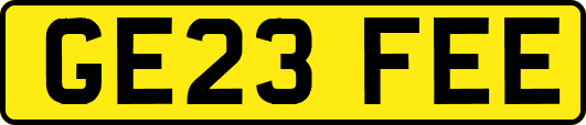 GE23FEE