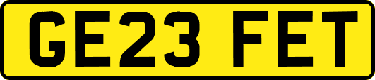 GE23FET