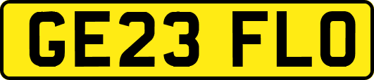 GE23FLO