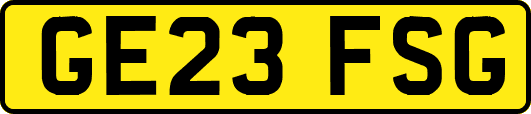 GE23FSG