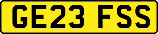 GE23FSS